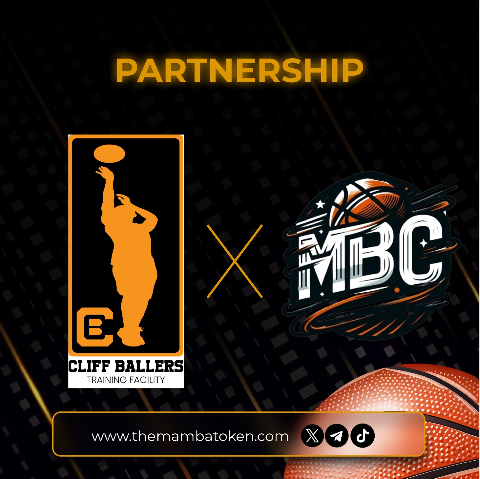 Partnership 1